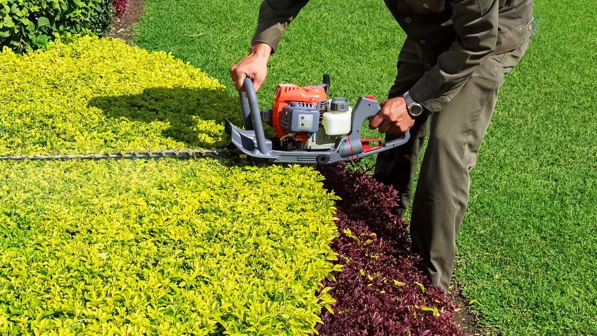 A hedge being trimmed